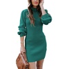 ANRABESS Womens Long Sleeve Turtle Neck Fall Bodycon Mini Sweater Dresses(Green)
