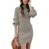 ANRABESS Womens Long Sleeve Turtle Neck Fall Bodycon Mini Sweater Dresses(Light Gray Green)