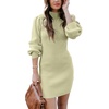 ANRABESS Womens Long Sleeve Turtle Neck Fall Bodycon Mini Sweater Dresses(Light Green)