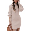 ANRABESS Womens Long Sleeve Turtle Neck Fall Bodycon Mini Sweater Dresses(Pink)