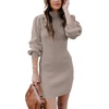 ANRABESS Womens Long Sleeve Turtle Neck Fall Bodycon Mini Sweater Dresses(Red Apricot)