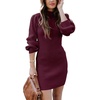 ANRABESS Womens Long Sleeve Turtle Neck Fall Bodycon Mini Sweater Dresses(Wine Red)